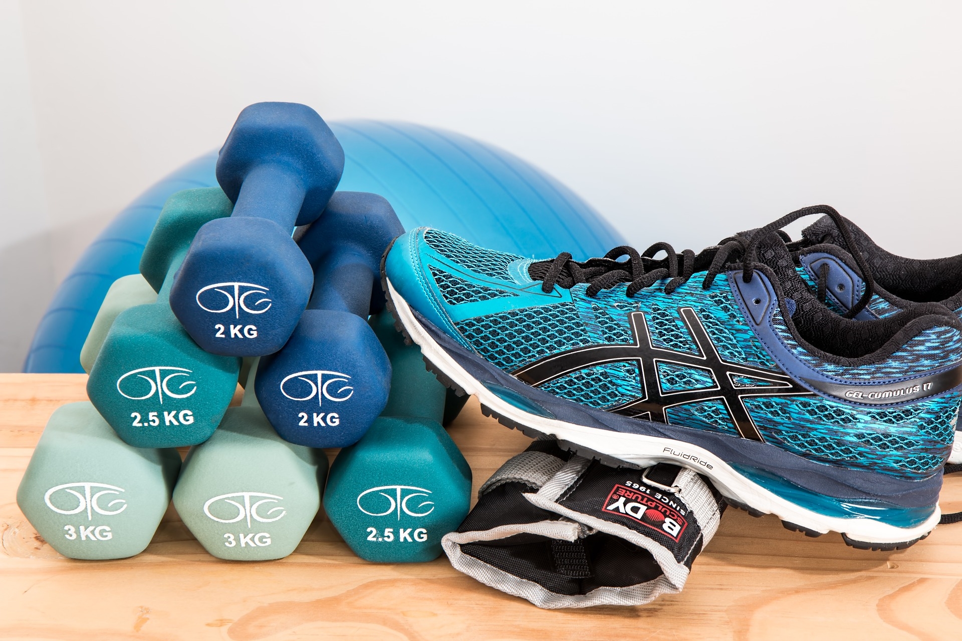 fitness gear